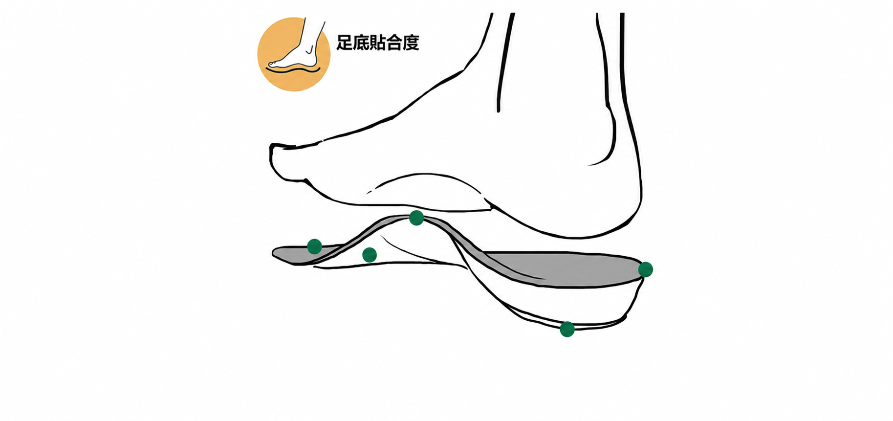 鞋墊剖面互動圖，六個藍灰色圓點分別對應足底貼合度、蹠骨墊上下層、足弓支撐片、足跟杯與足跟墊。